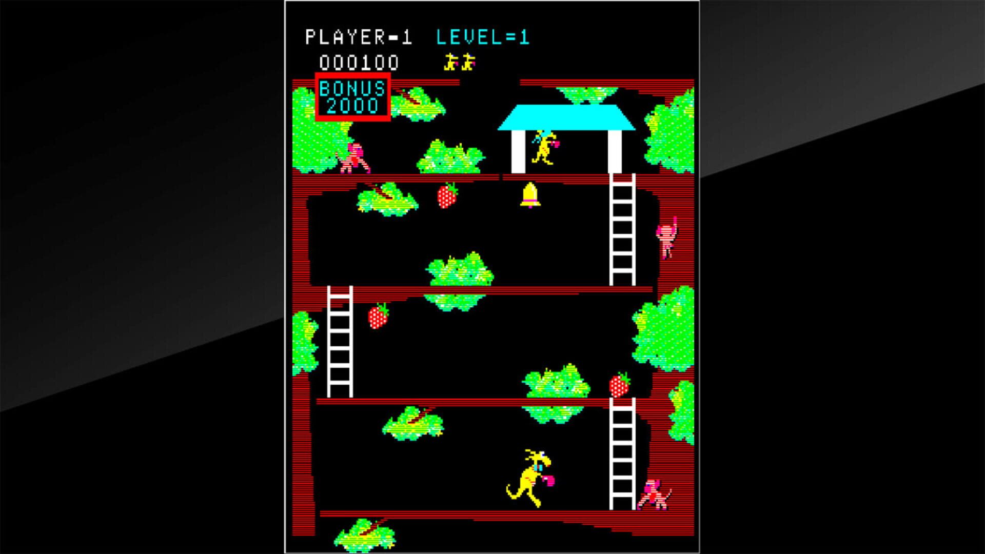 Foto do jogo Arcade Archives: Kangaroo