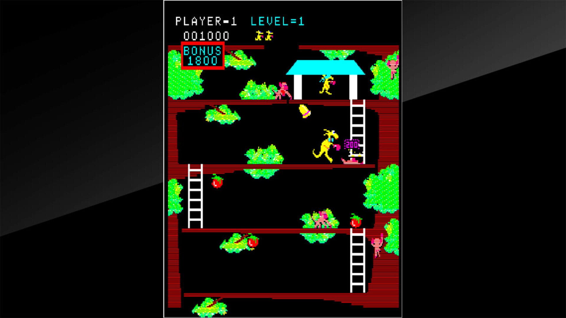Foto do jogo Arcade Archives: Kangaroo