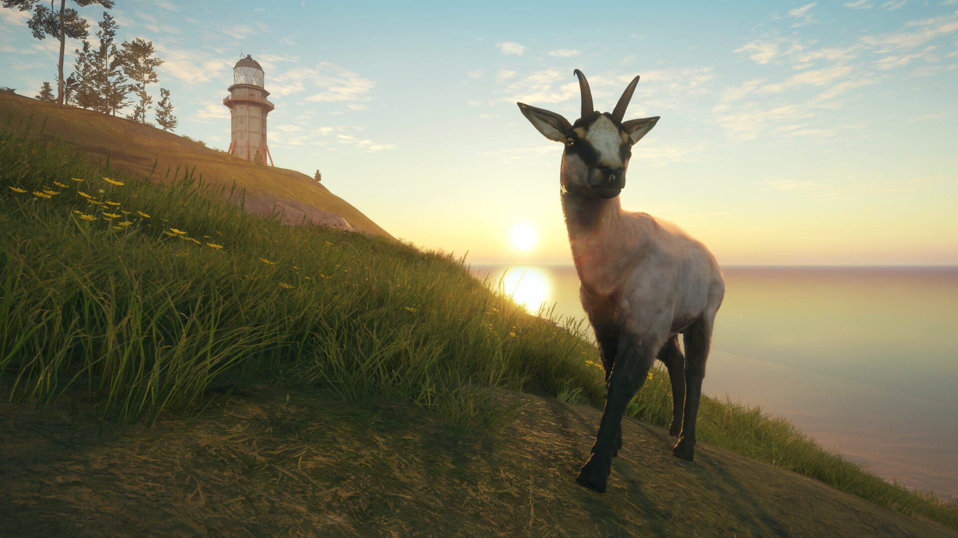 Foto do jogo TheHunter: Call of the Wild - Te Awaroa National Park