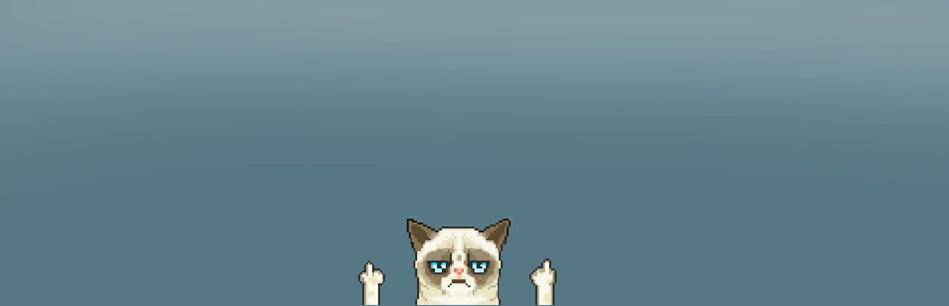 Foto do jogo Puzzle Angry Cat