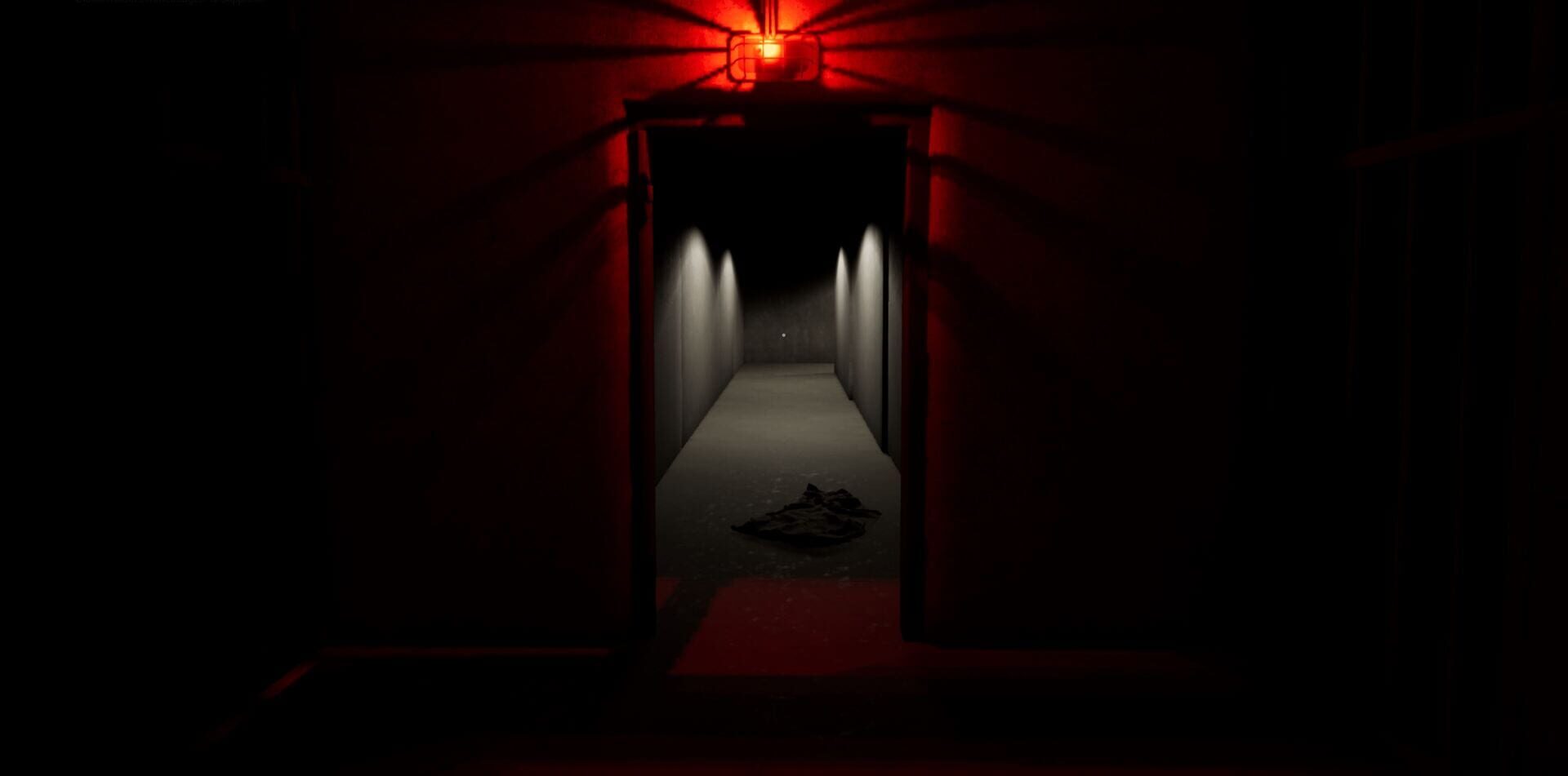 Foto do jogo The Observed