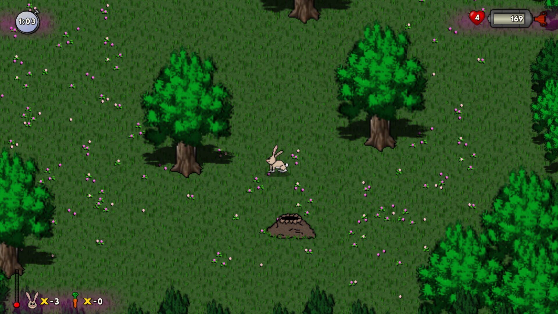Foto do jogo Run Hare Run