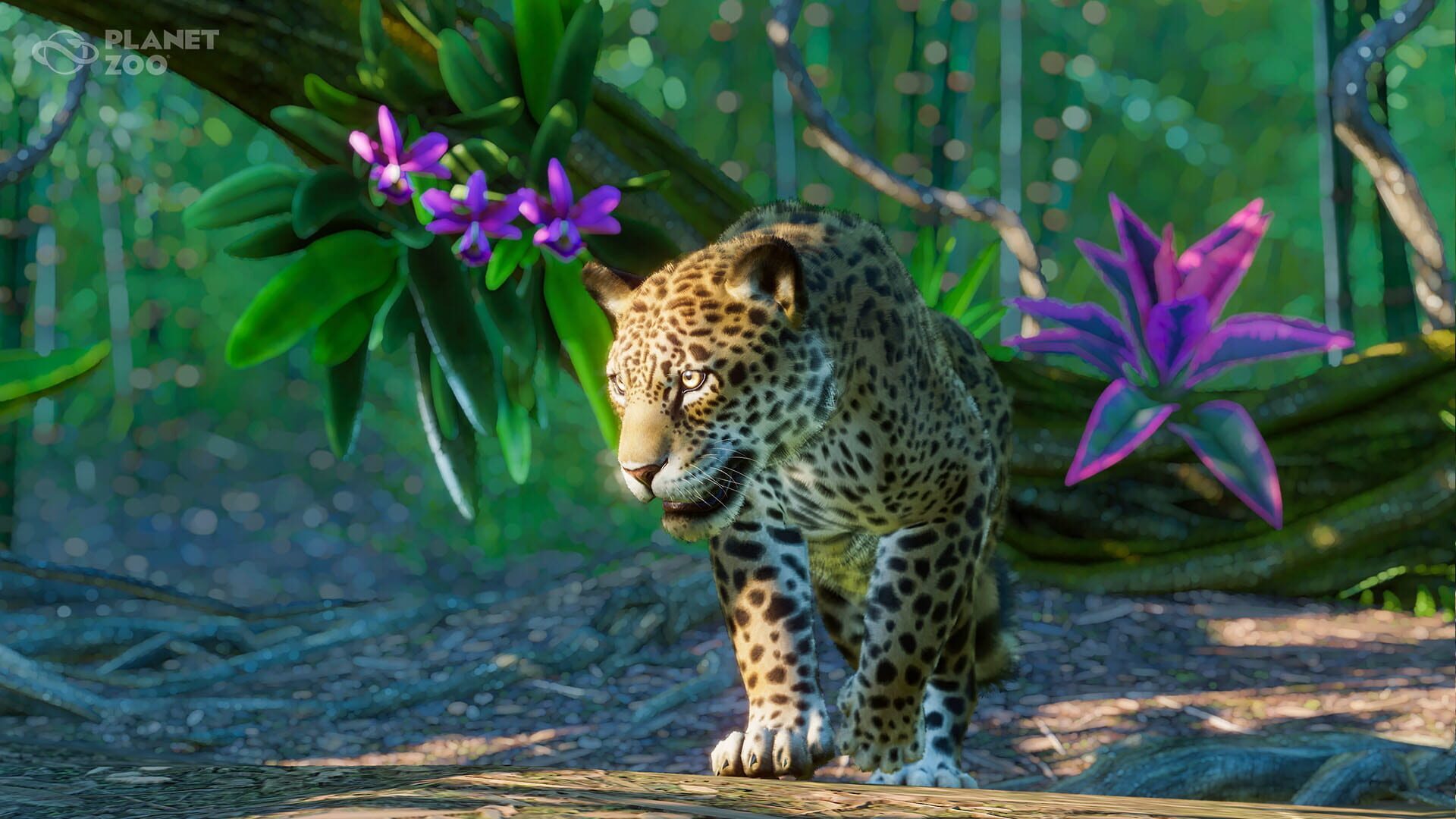 Foto do jogo Planet Zoo: South America Pack