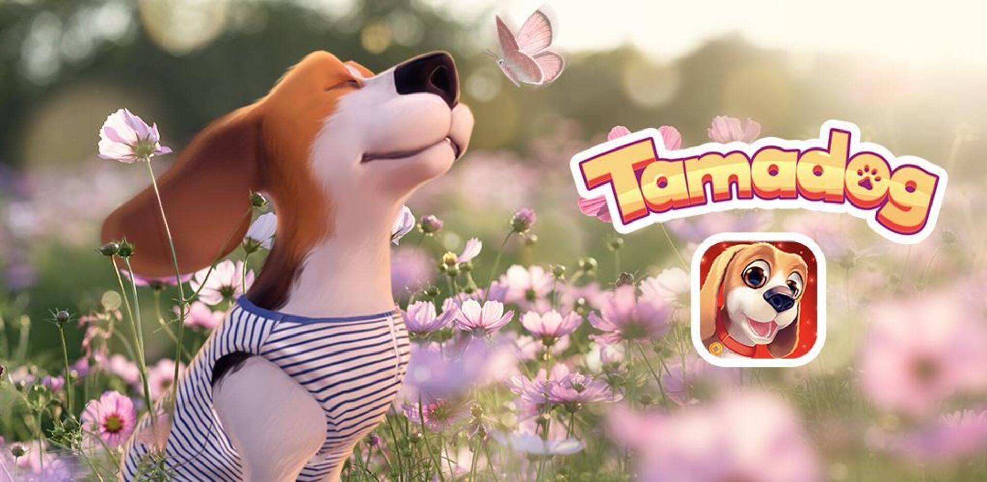 Foto do jogo Tamadog