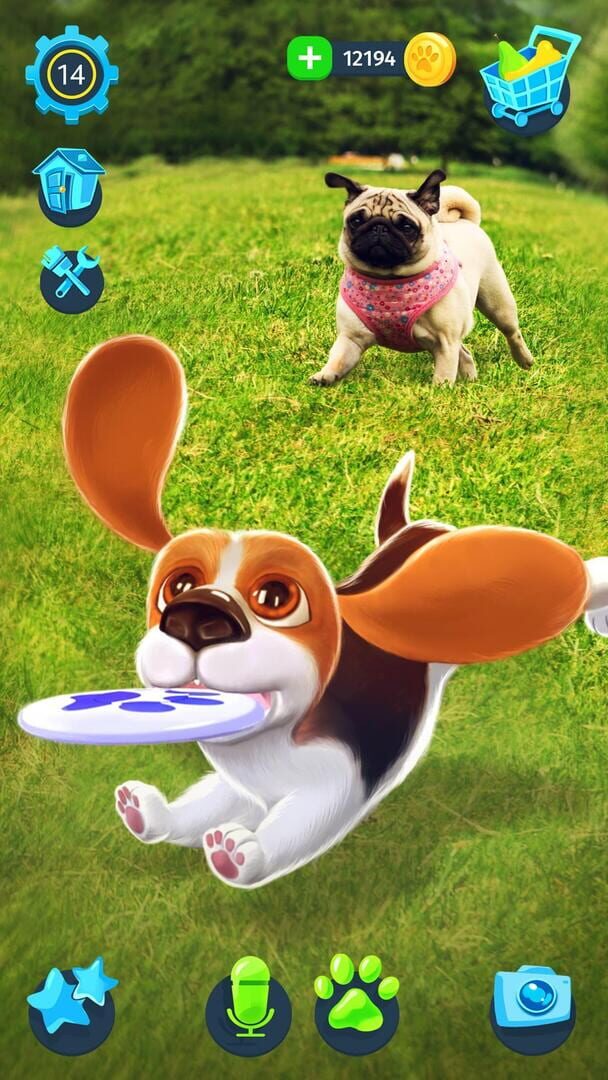 Foto do jogo Tamadog