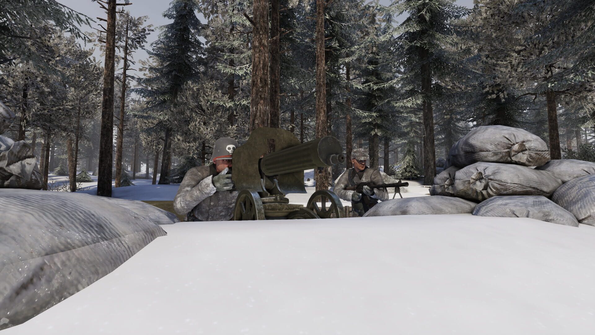Foto do jogo Talvisota: Winter War