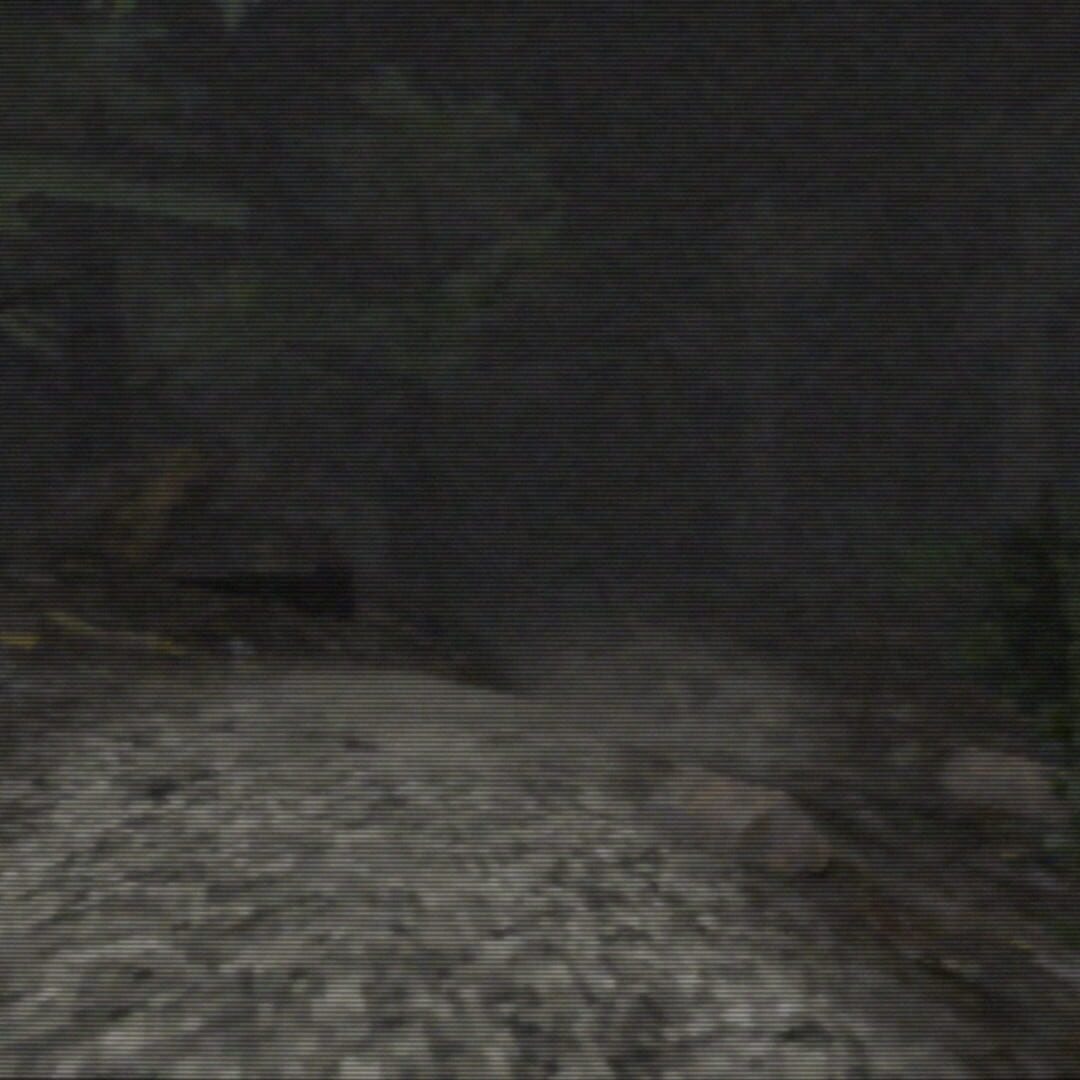 Foto do jogo The Happenings At Bowers End