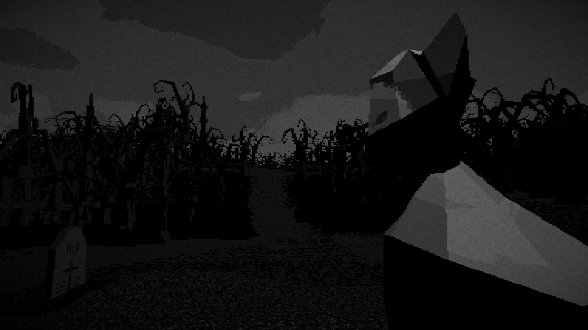 Foto do jogo Night Feed