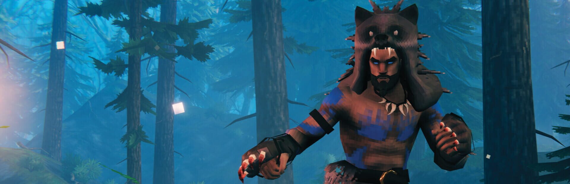 Foto do jogo Valheim