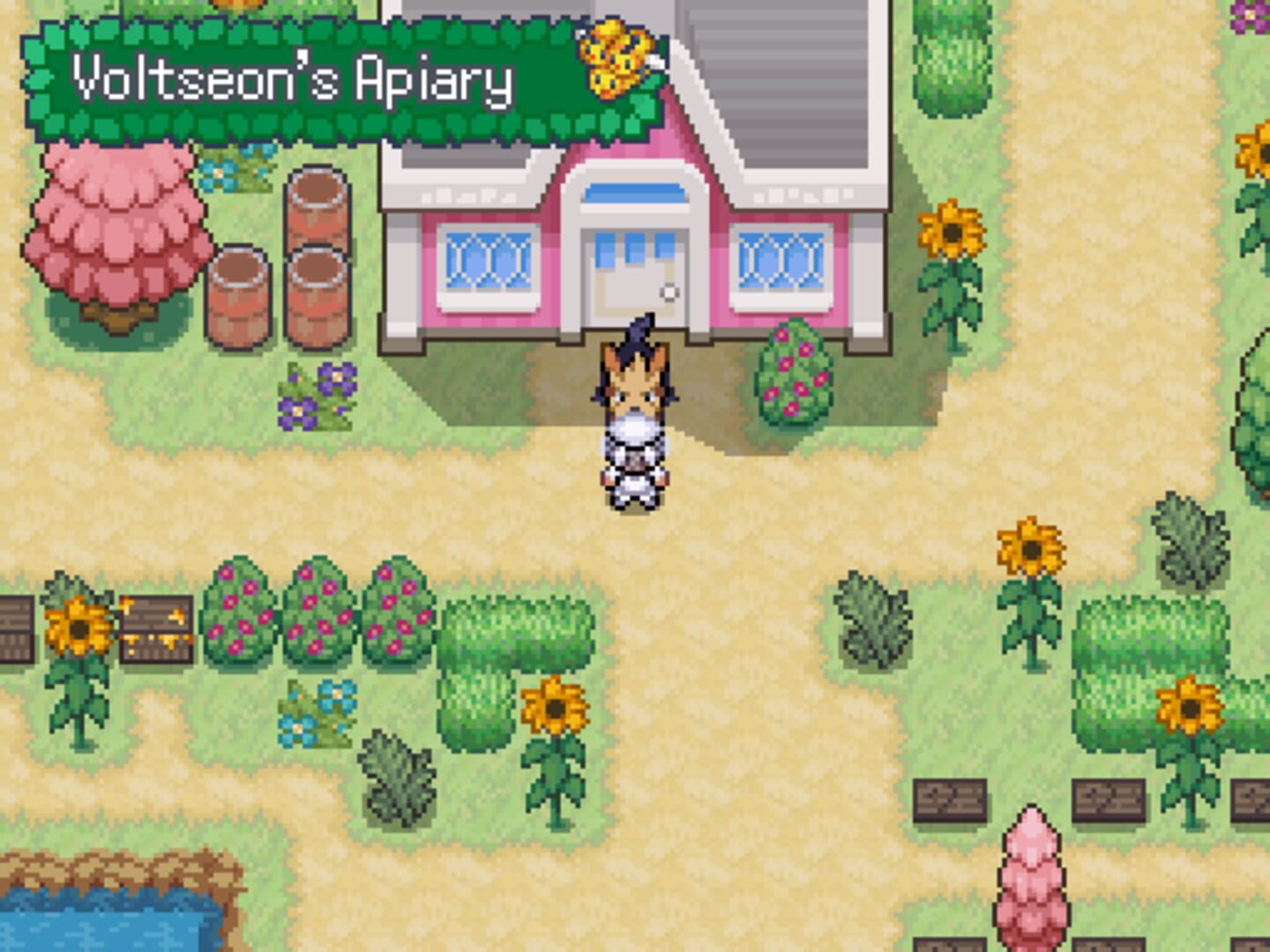Foto do jogo Pokémon Beekeeper