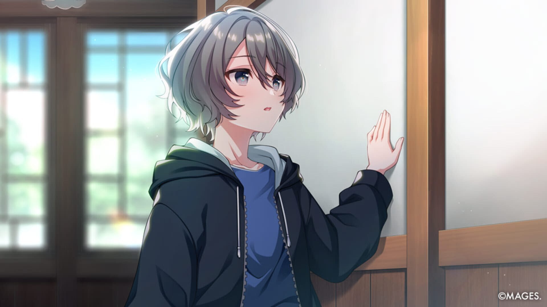Foto do jogo Since Memories: Off the Starry Sky