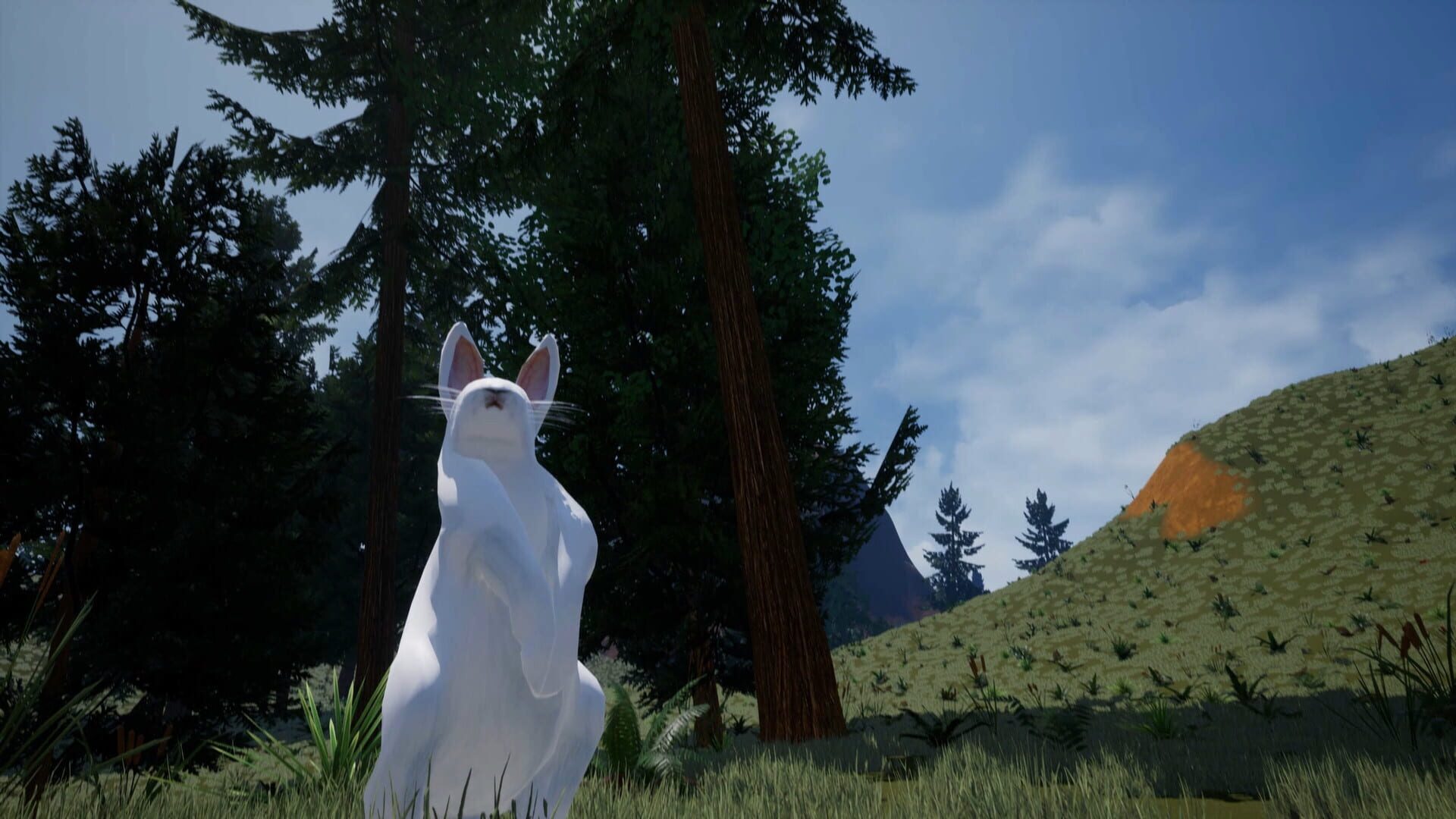 Foto do jogo Bunny's Buddy