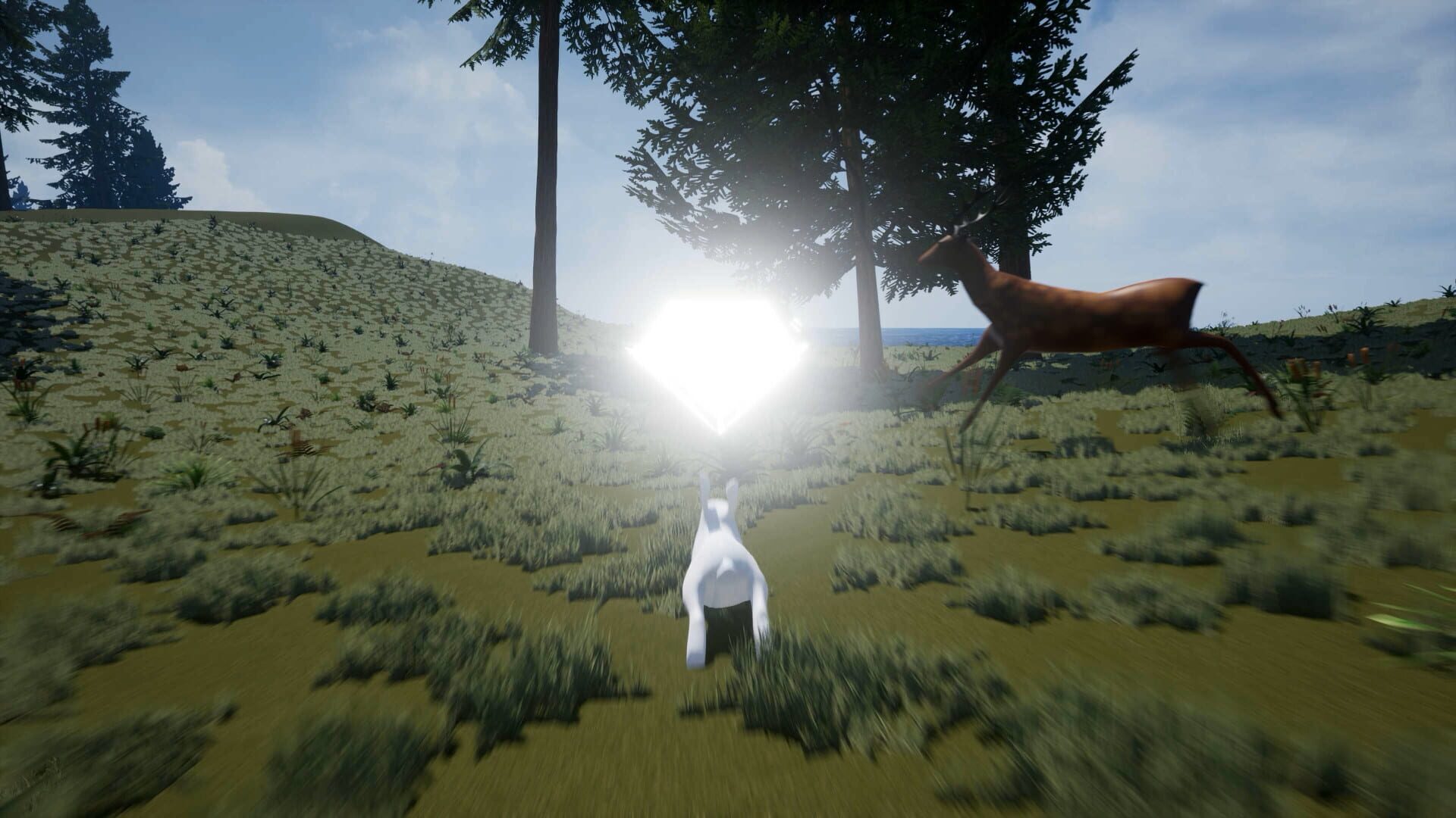 Foto do jogo Bunny's Buddy