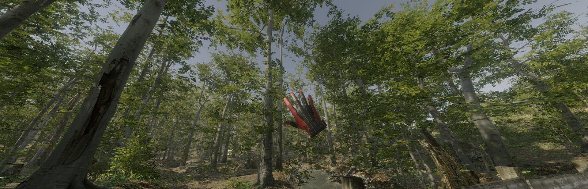 Foto do jogo VR Walking Simulator