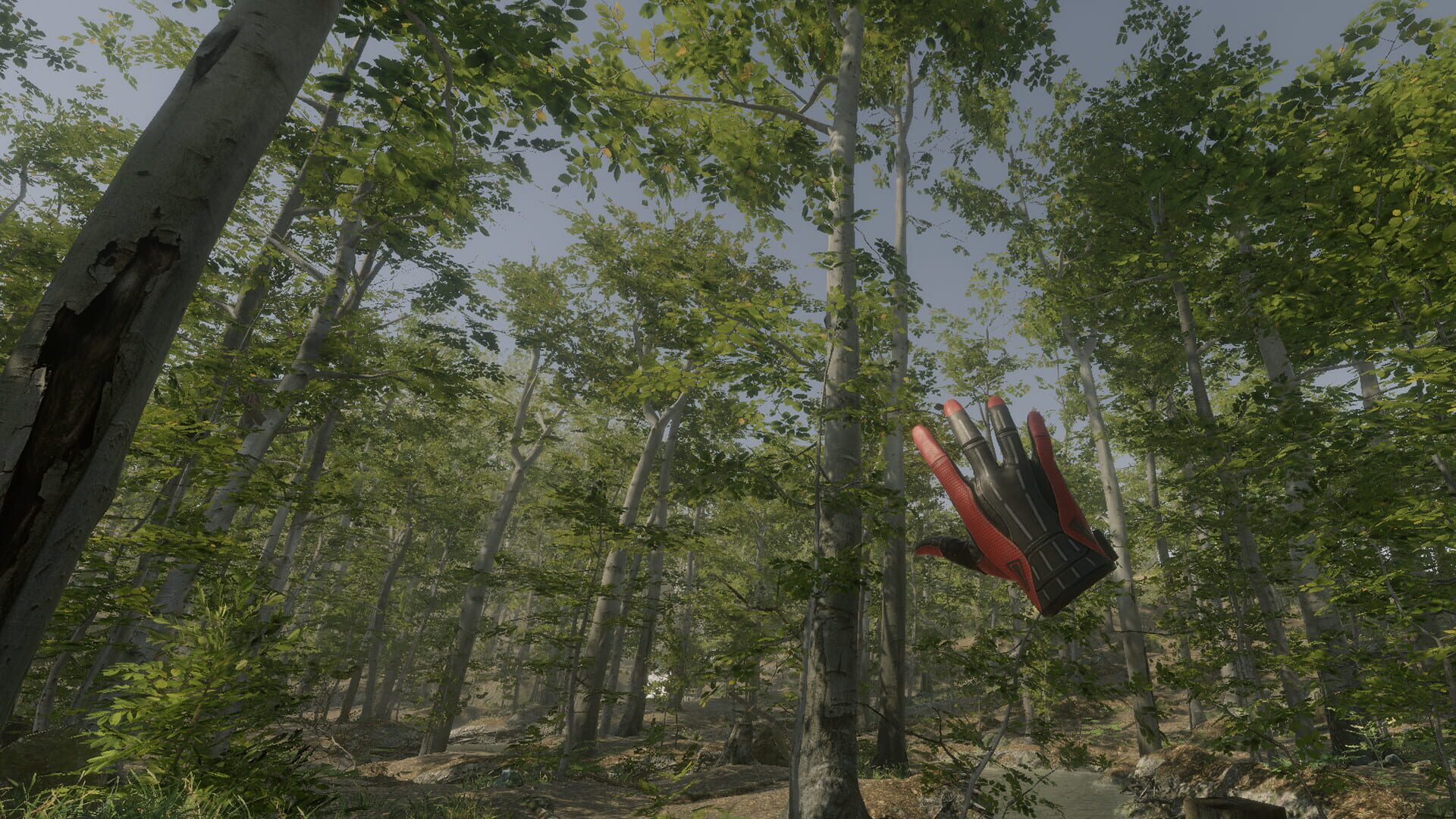 Foto do jogo VR Walking Simulator