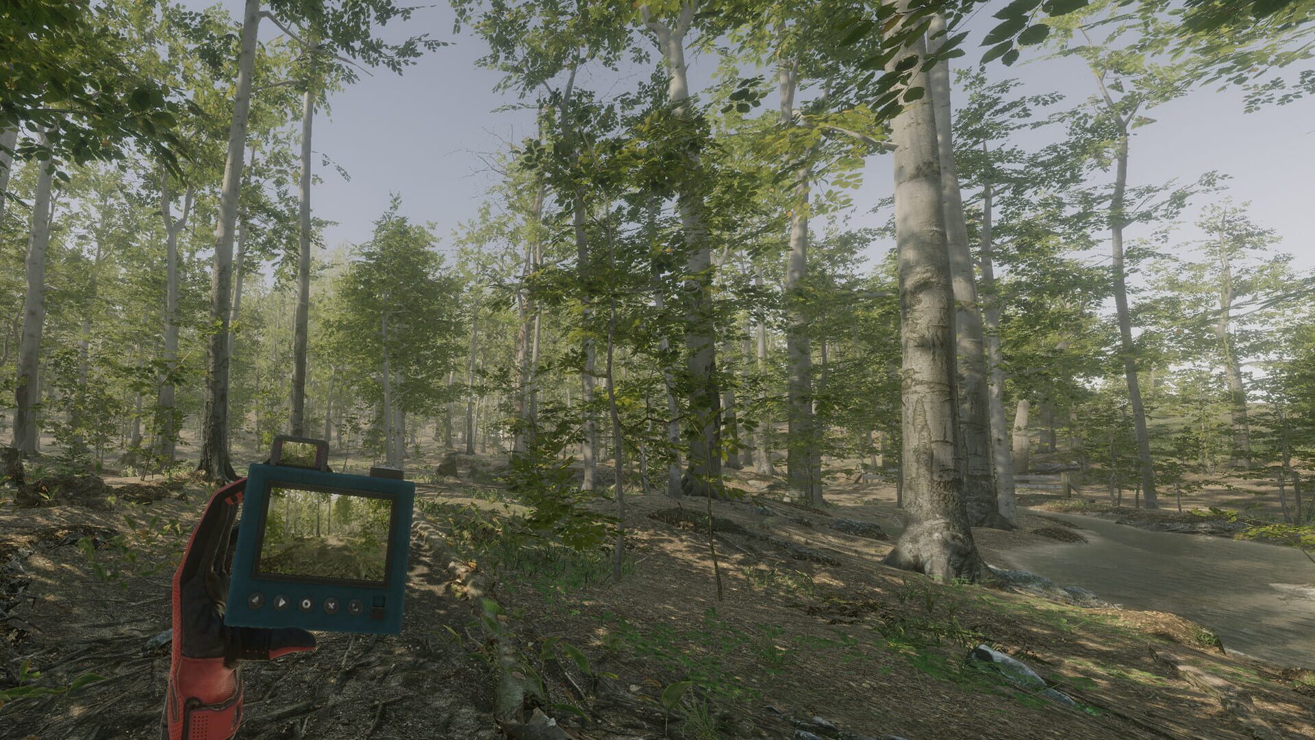 Foto do jogo VR Walking Simulator