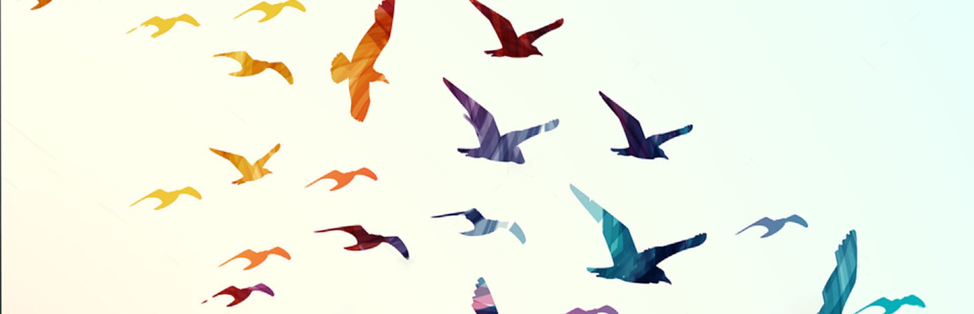 Foto do jogo Chasing the wind
