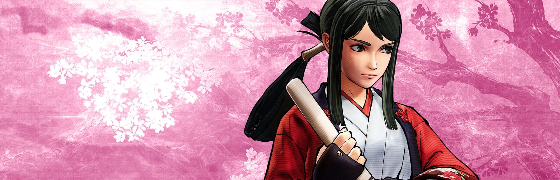 Foto do jogo Samurai Shodown: Hibiki Takane