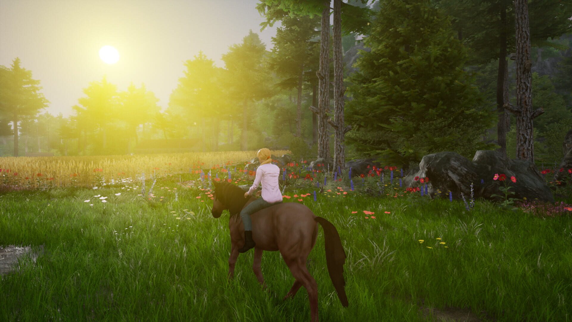 Foto do jogo Horse Riding Deluxe 2