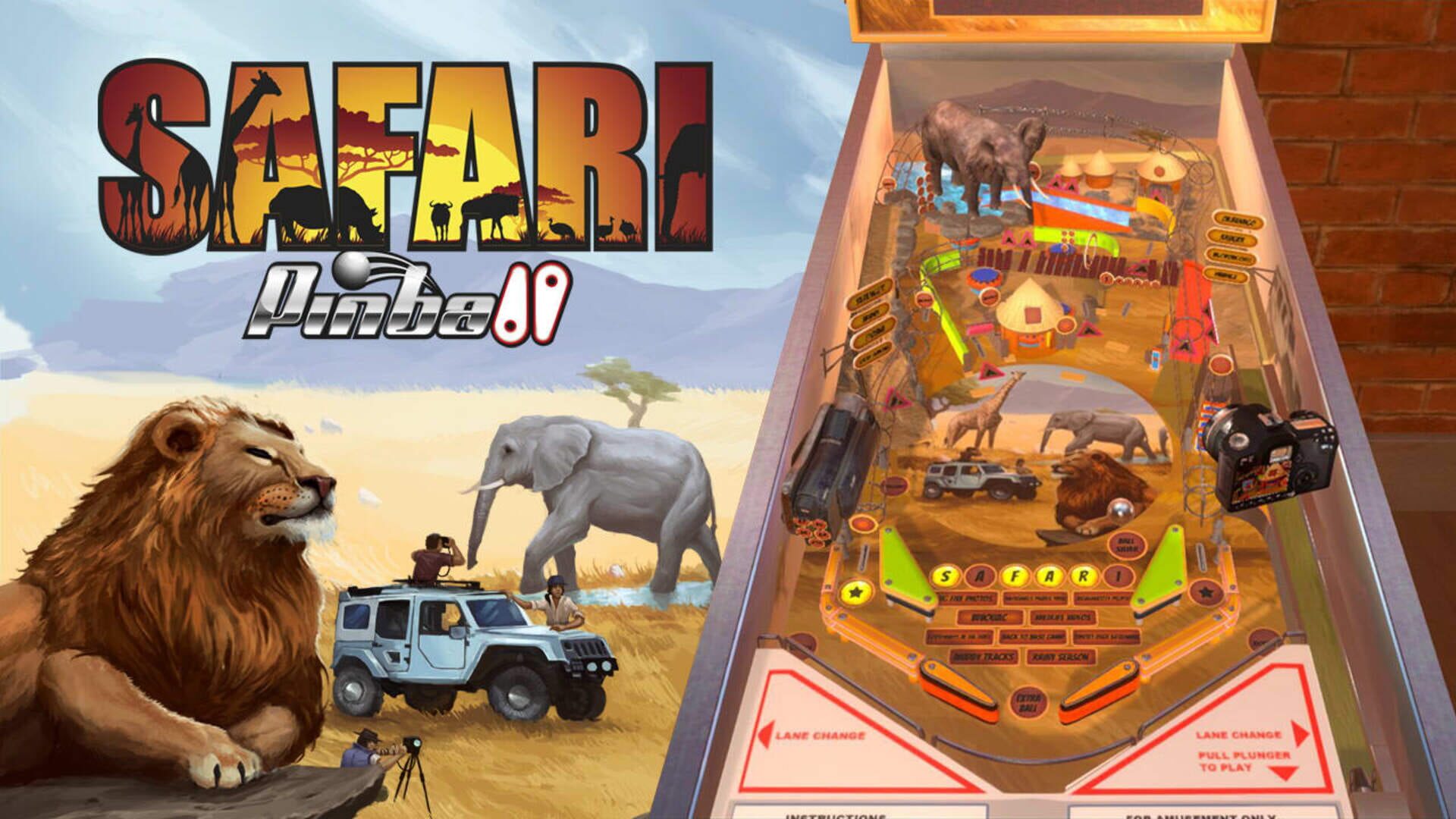 Foto do jogo Wild Pinball Bundle
