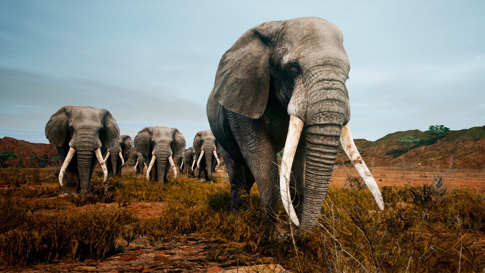Foto do jogo Animalia Survival