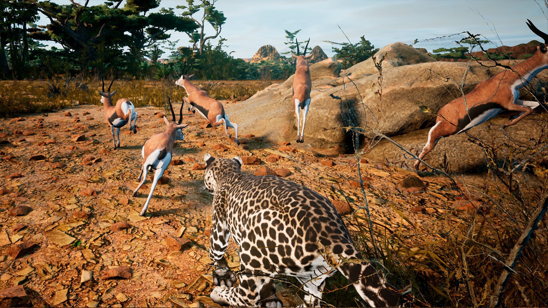 Foto do jogo Animalia Survival