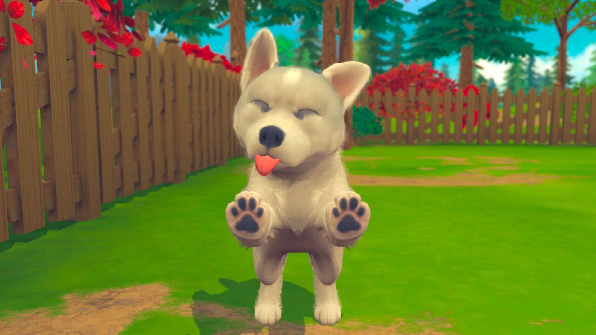 Foto do jogo My Universe: Puppies and Kittens