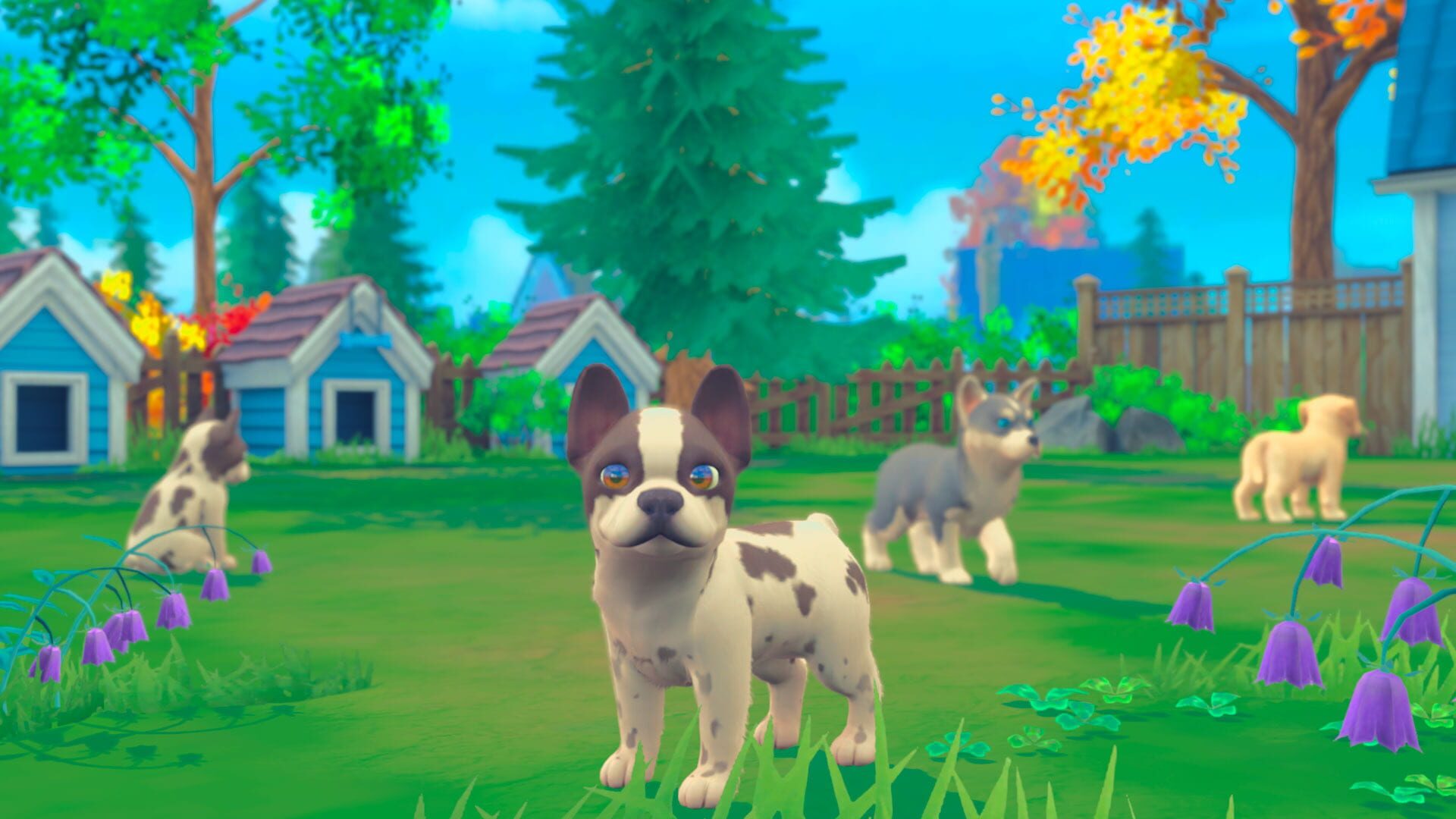 Foto do jogo My Universe: Puppies and Kittens