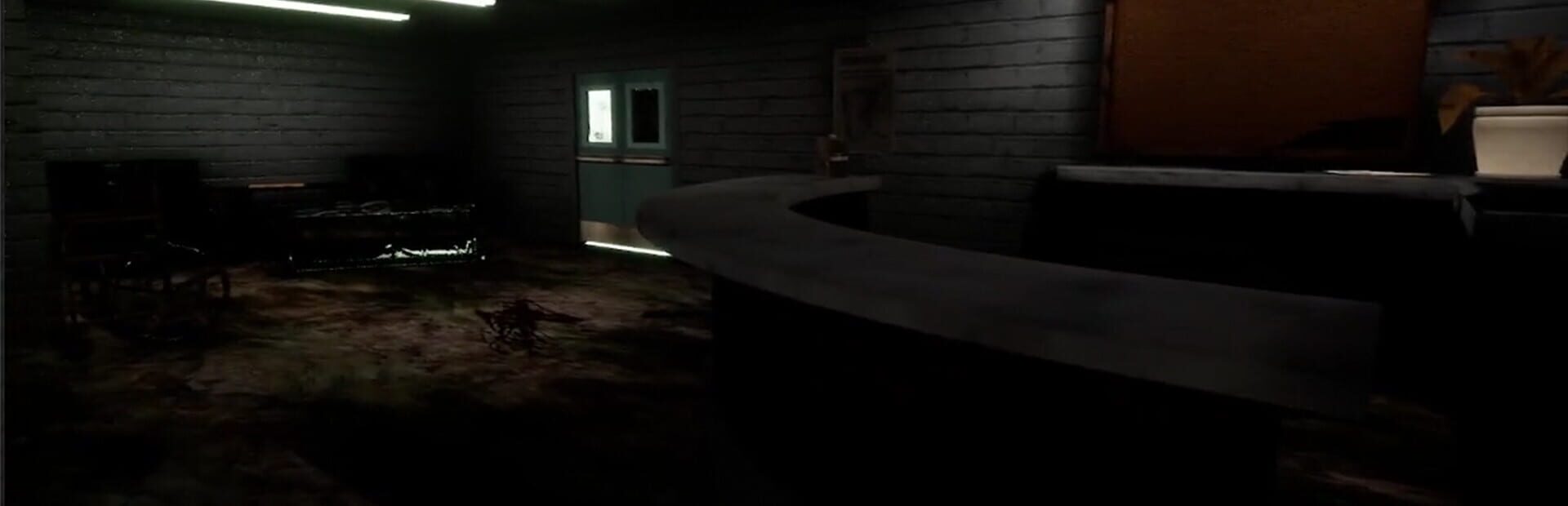 Foto do jogo Serene Asylum