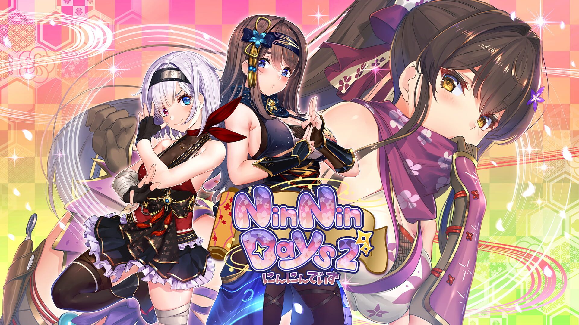 Foto do jogo NinNinDays2
