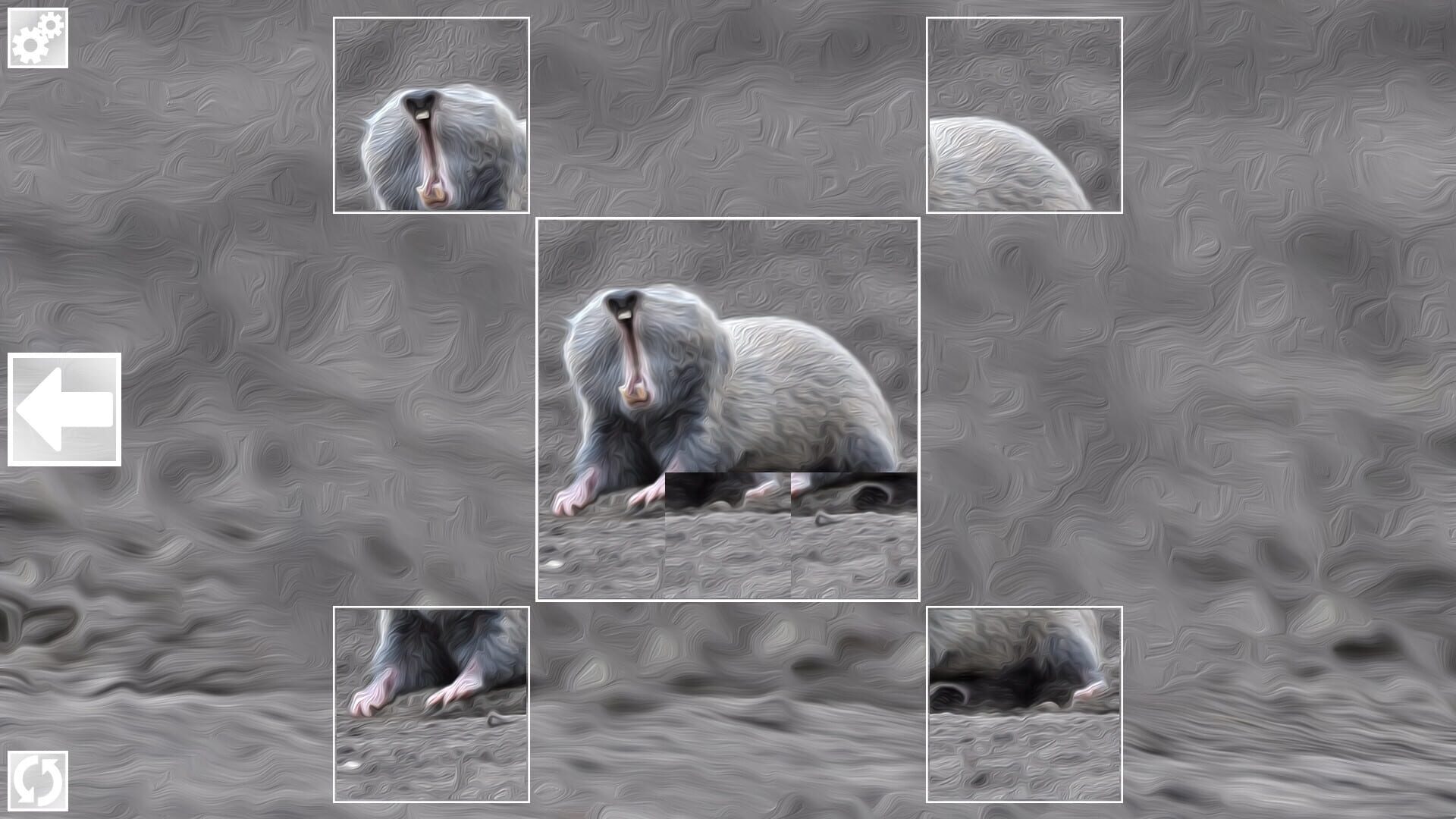 Foto do jogo Puzzle Art: Rodents
