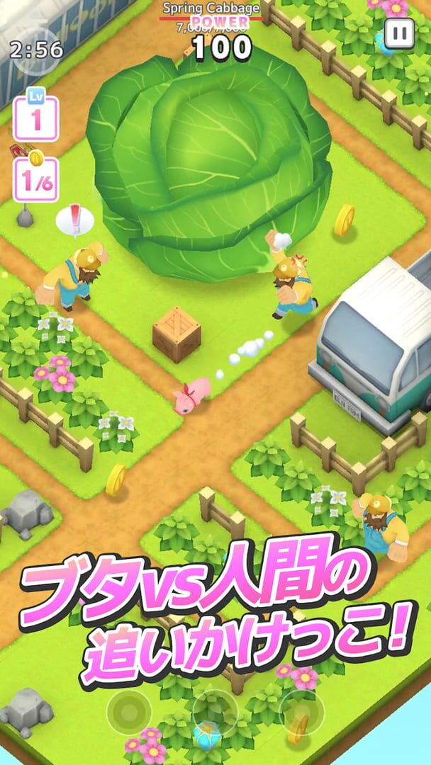 Foto do jogo Hungry Pigs