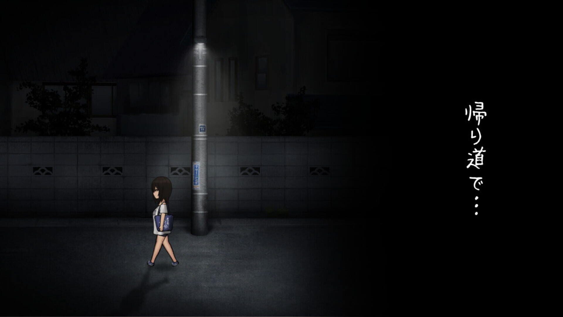 Foto do jogo The Way Back Home: Sinister Night