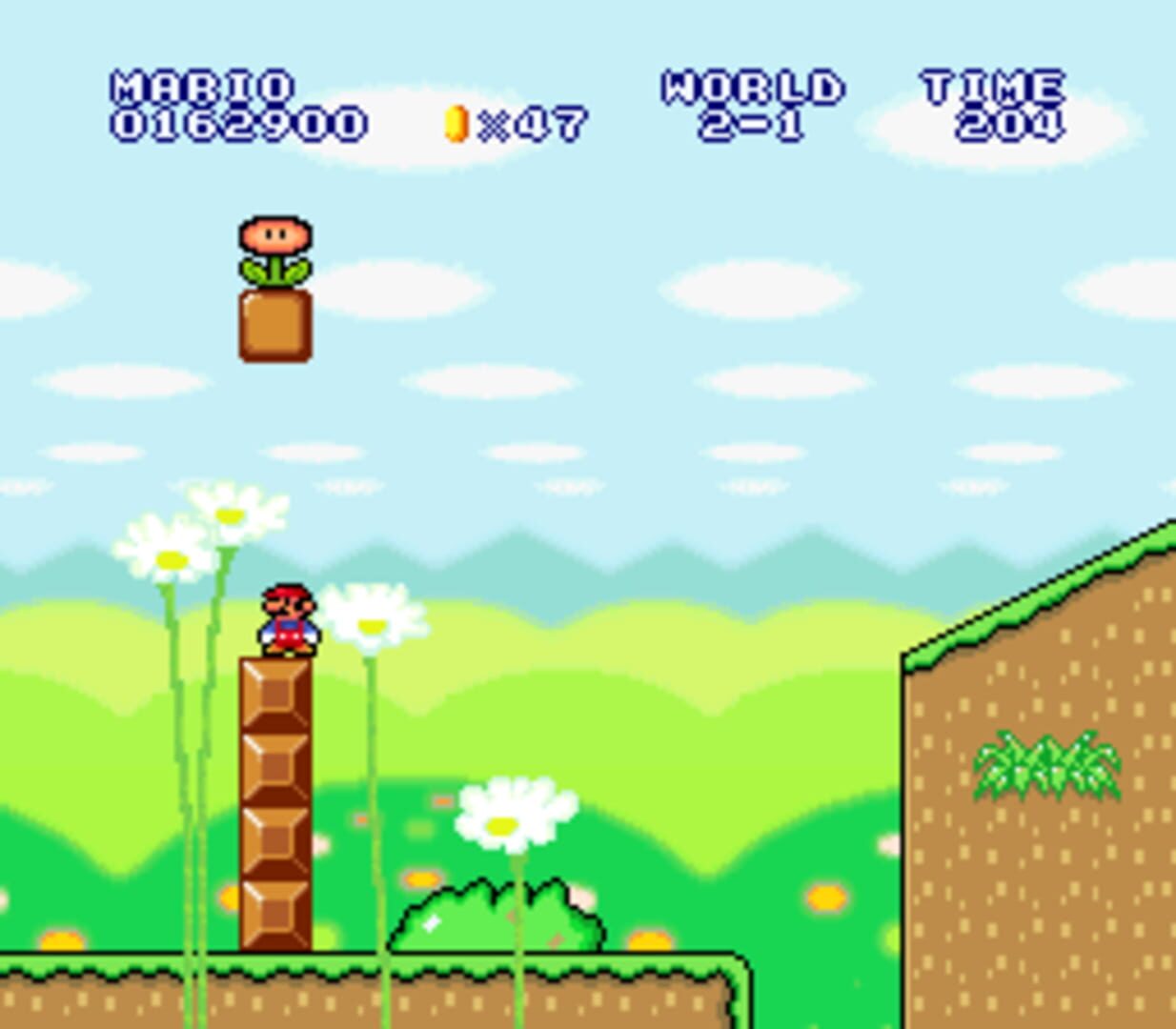 Foto do jogo Super Mario Bros. for Lost Players