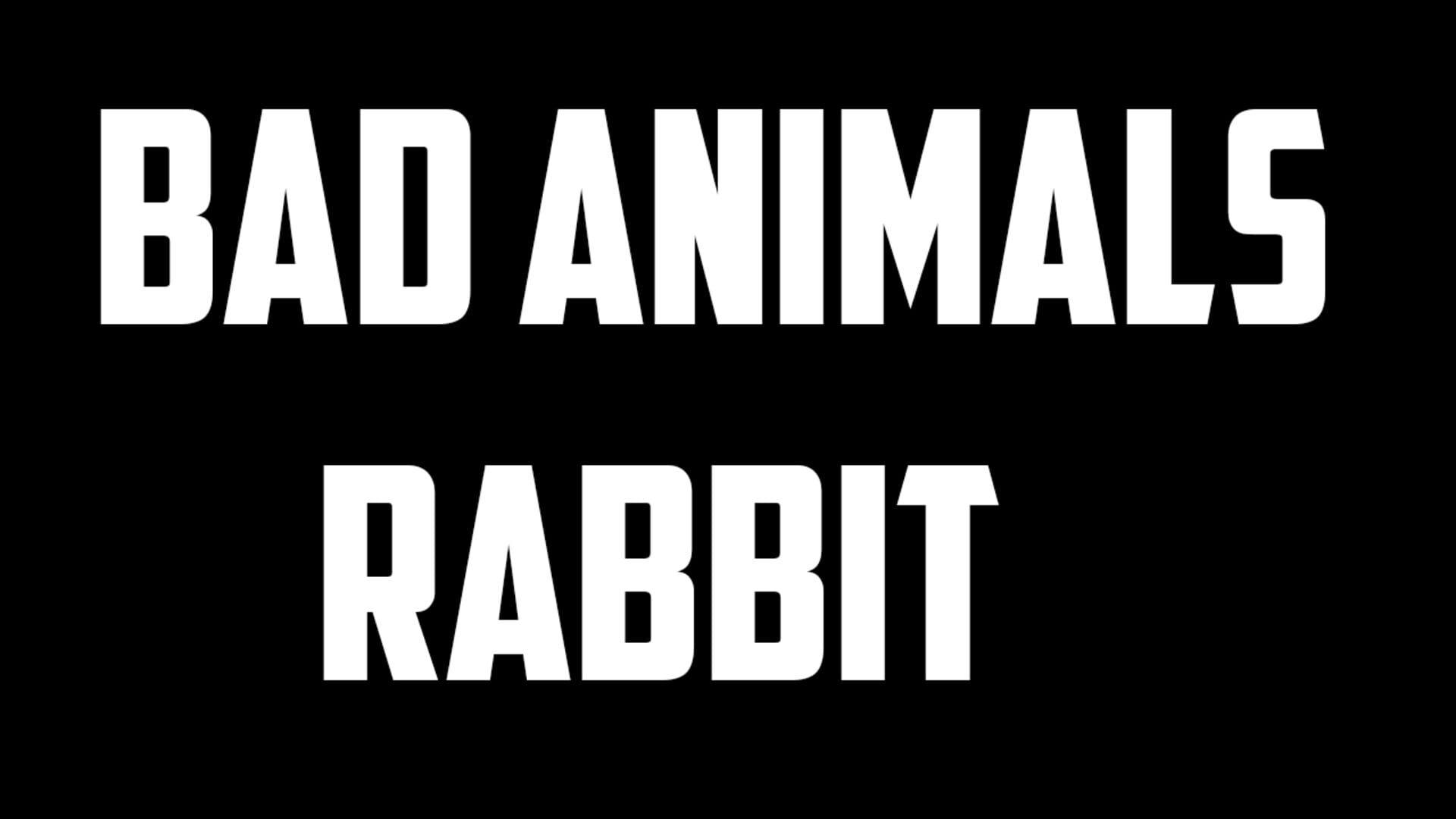 Foto do jogo Bad animals: Rabbit
