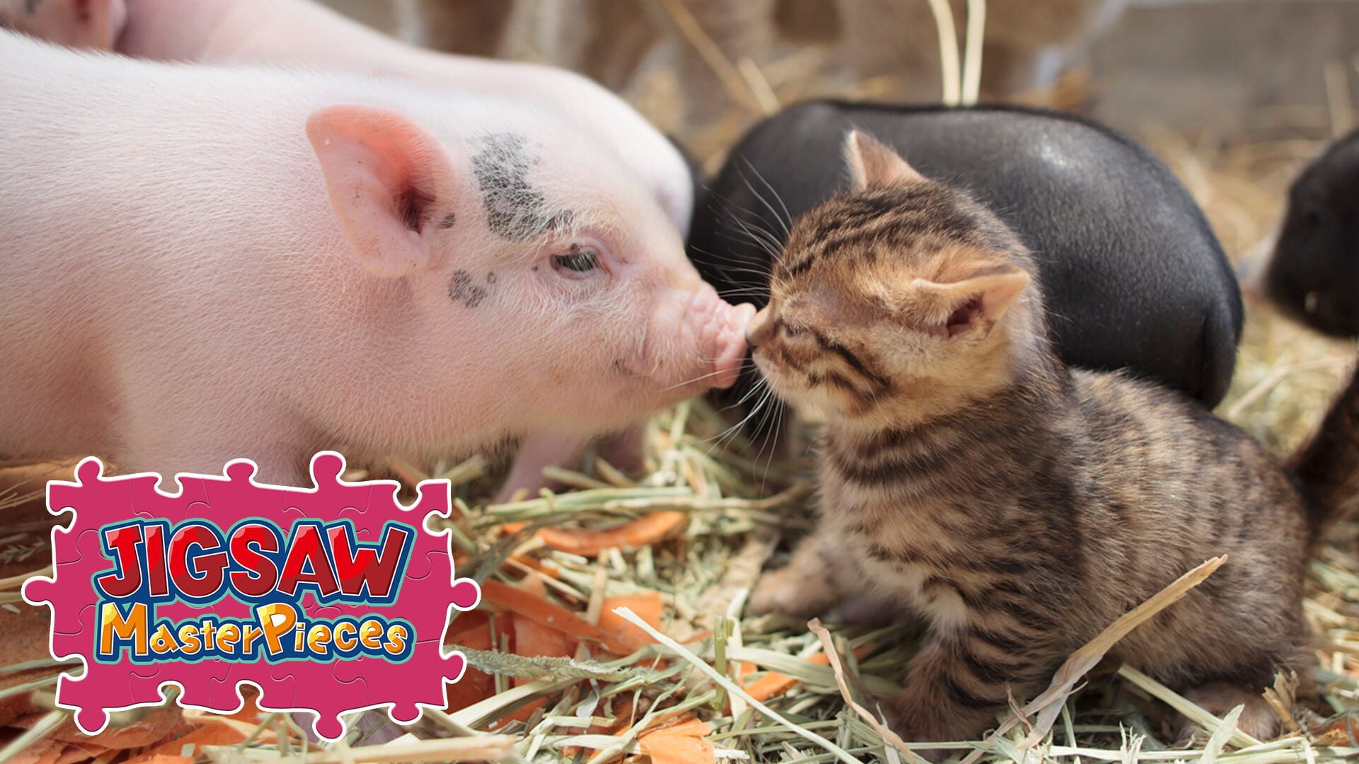 Foto do jogo Jigsaw Masterpieces: Cats and Friends on the Suetoshi Farm / Kenta Igarashi