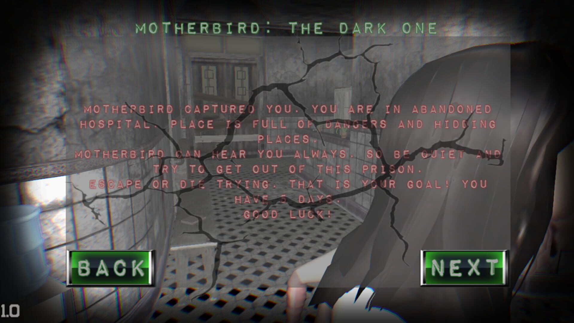 Foto do jogo Motherbird: The Dark One