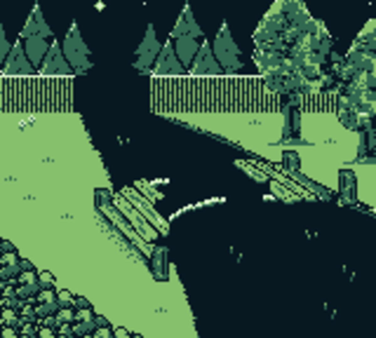 Foto do jogo The Shapeshifter