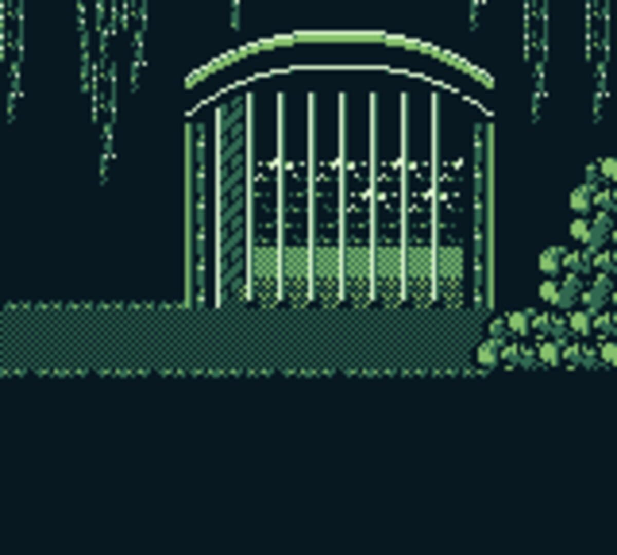 Foto do jogo The Shapeshifter