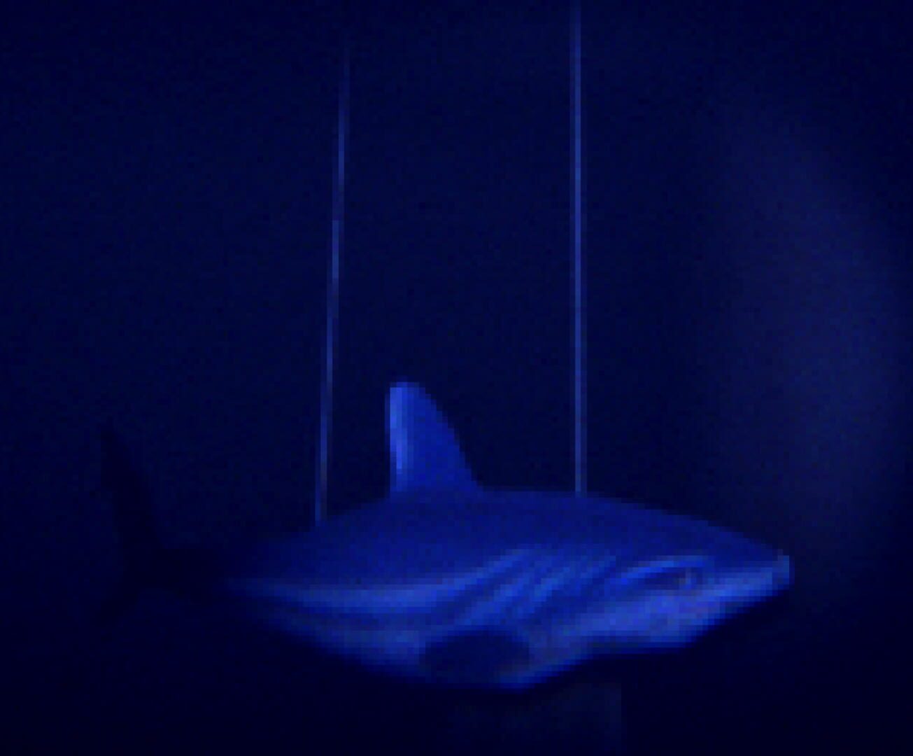 Foto do jogo Dread in Deep Voyage