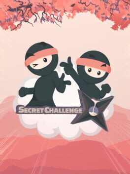 Foto do jogo Secret Challenge