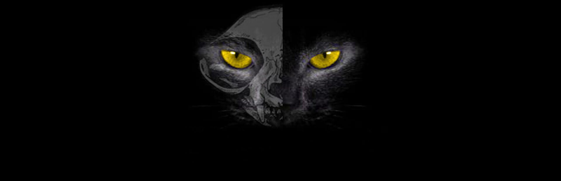 Foto do jogo Black Cat