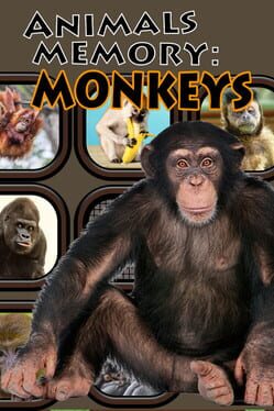 Foto do jogo Animals Memory: Monkeys