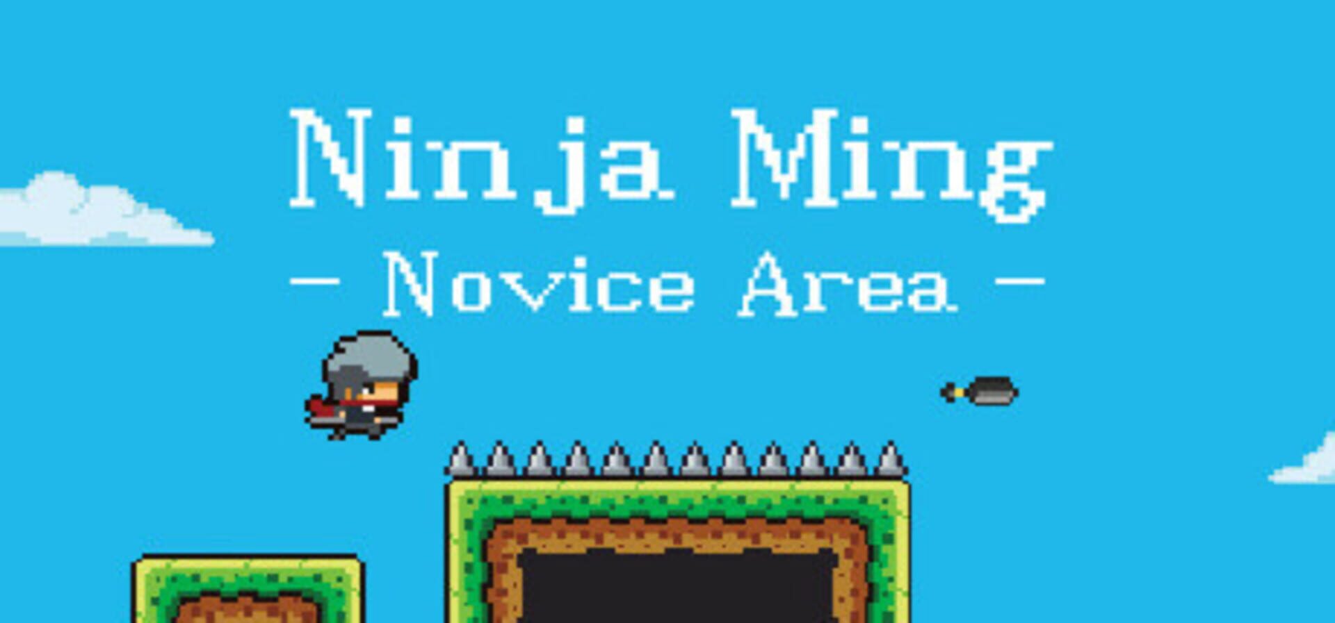 Foto do jogo Ninja Ming: Novice Area