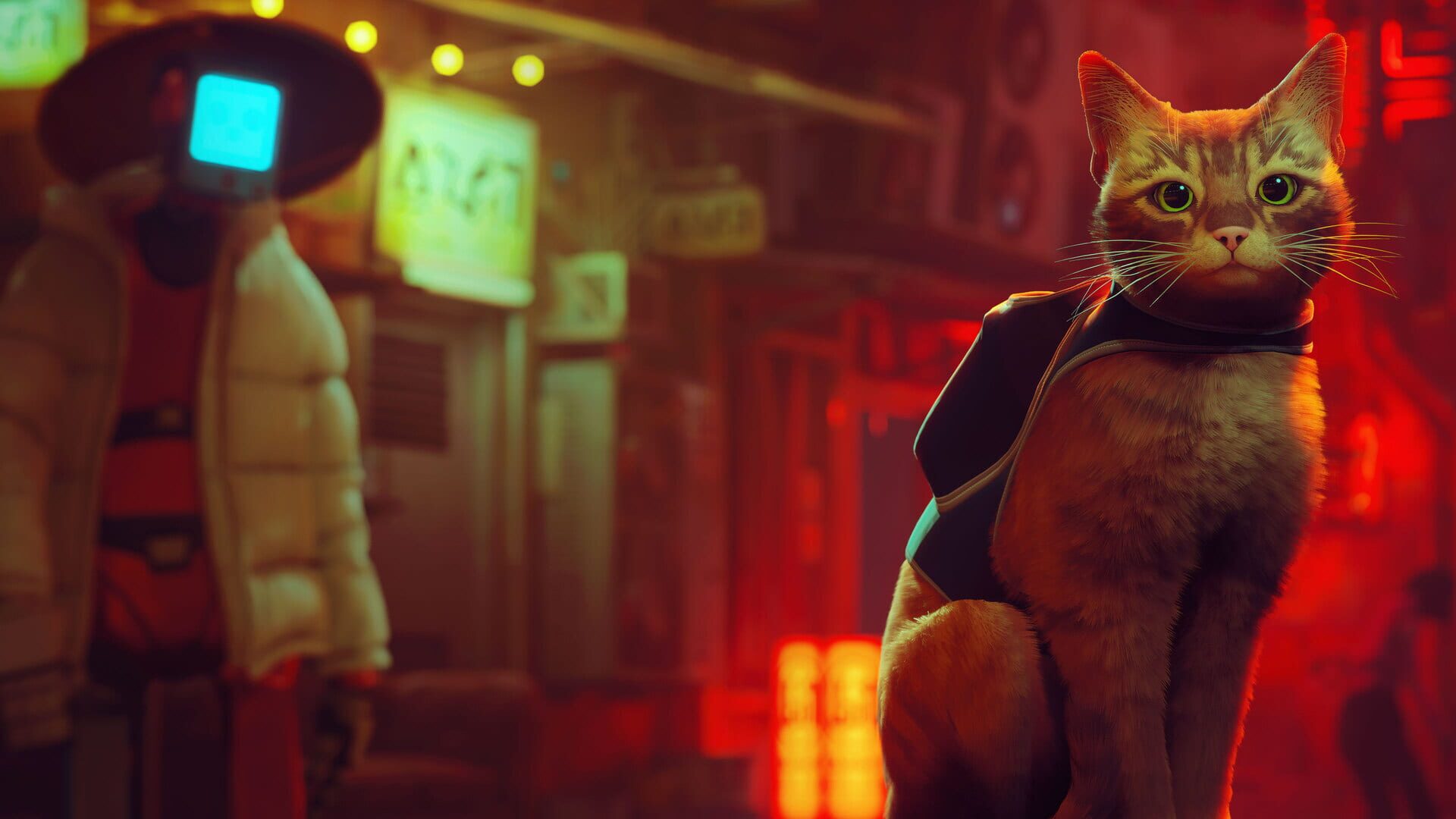 Foto do jogo Stray