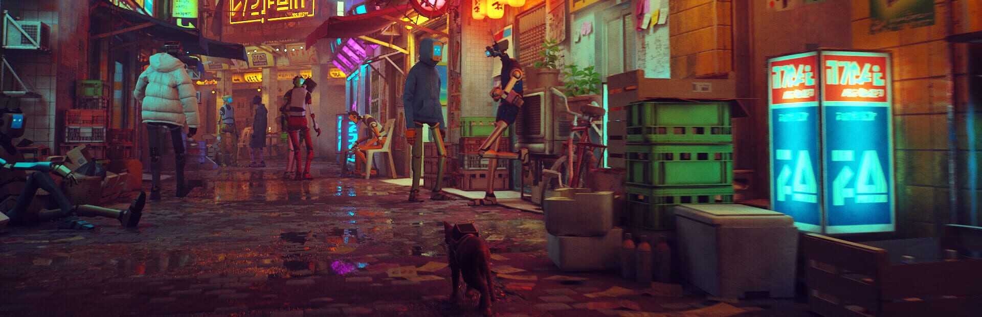 Foto do jogo Stray