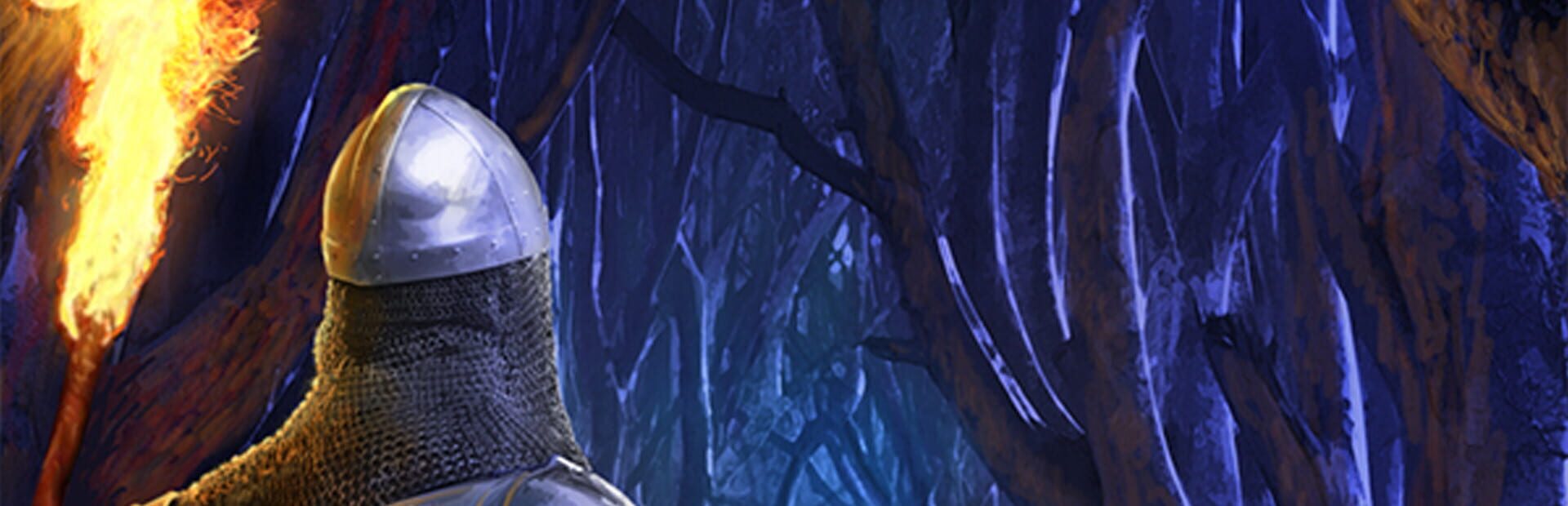 Foto do jogo DnD Adventure: Wizard's Choice