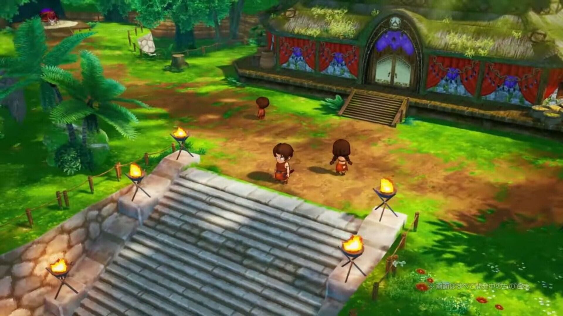 Foto do jogo Dragon Quest X Offline: Deluxe Edition