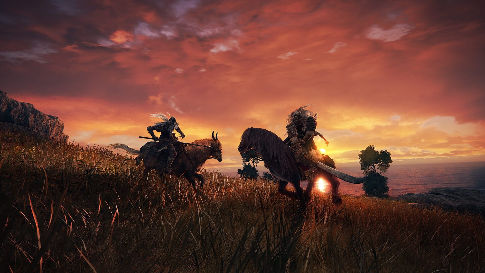 Foto do jogo Elden Ring: Deluxe Edition