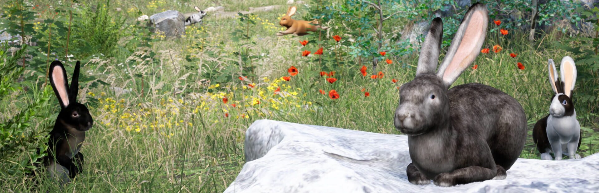 Foto do jogo Rabbit Meadow